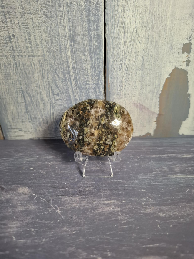 Ocean Jasper Palmstone 