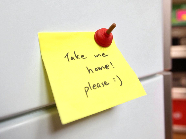 Toilet plungers plumber magnet (Pack of 2pcs)