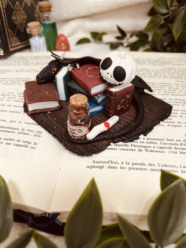 Cabinet de sorcière – Dragon familier &amp; grimoires
