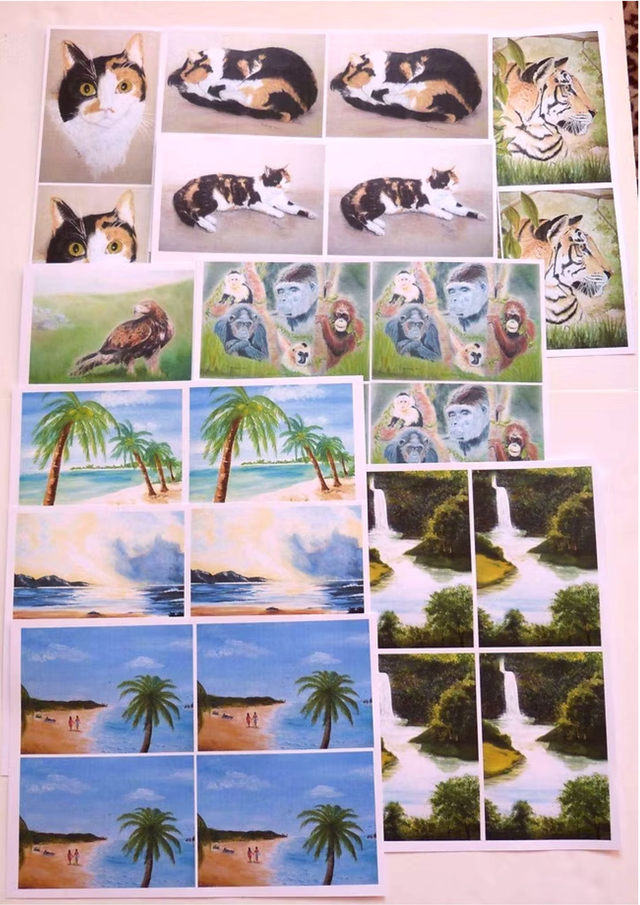 Craft Toppers (Original designs) 