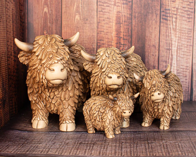 Highland Cows 