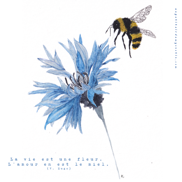 Carte postale &quot;la vie est une fleur, l&#039;amour en est le miel&quot; - Bleuet et abeille