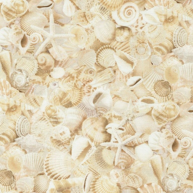 COQUILLAGES
