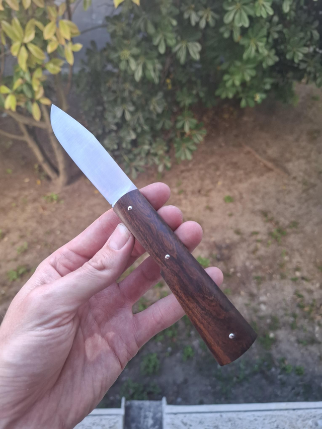 Taurus - Bois de fer