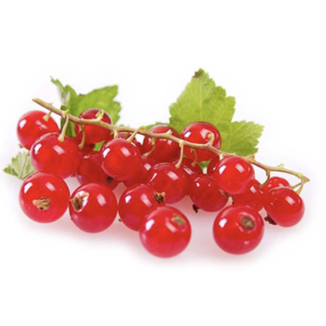 Groseille barquette (125g)