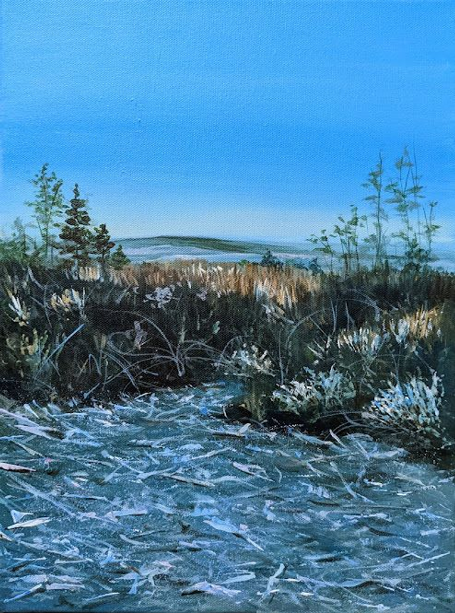 Early winter morning on Blackdown  