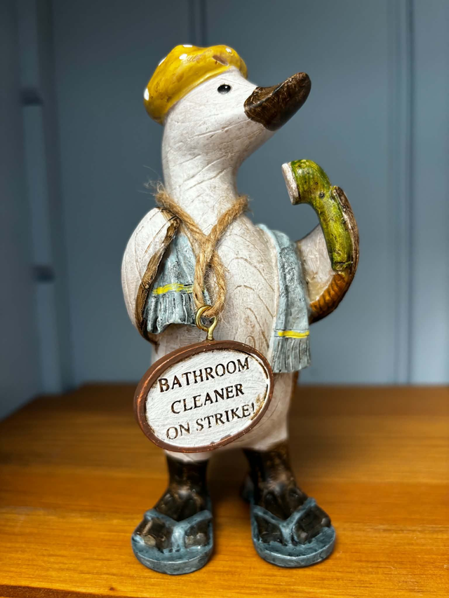 Quirky Resin Duck Ornament with Funny Wooden Sign | Novelty Bathroom & Home Gift