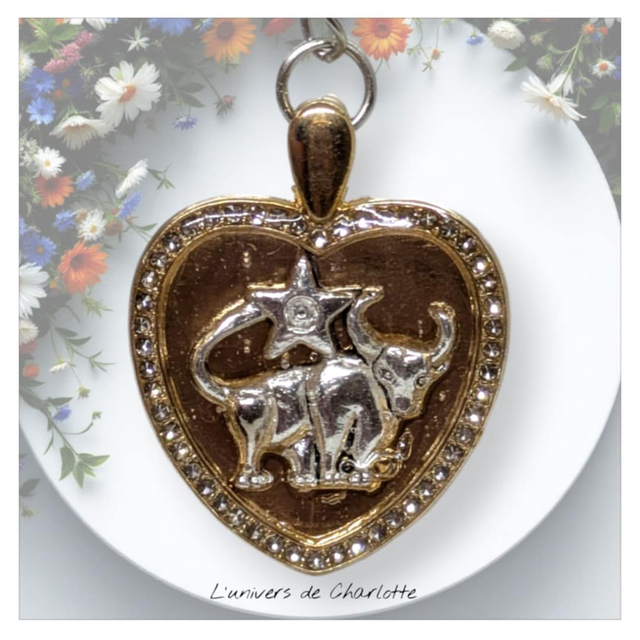 Porte-clés "Zodiaque" coeur