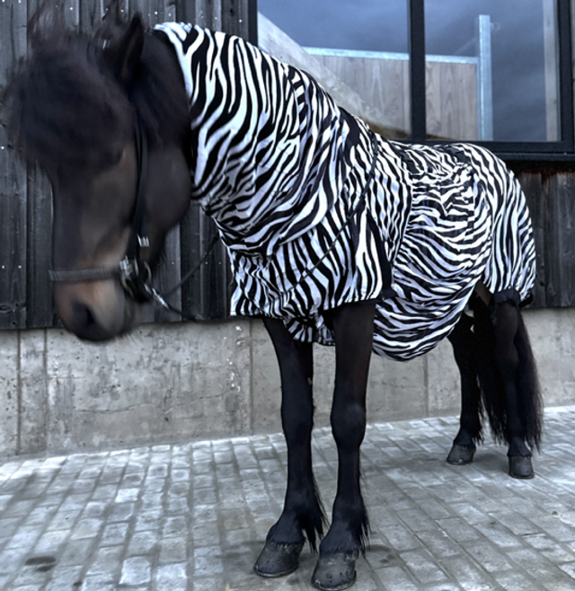 Blómatún Ekzemerdecke Díli