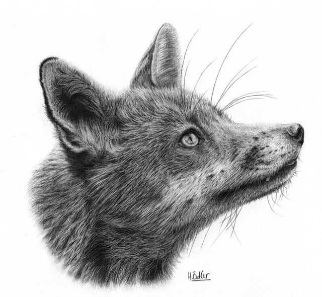 'Intent.' Limited Edition Giclée Print.