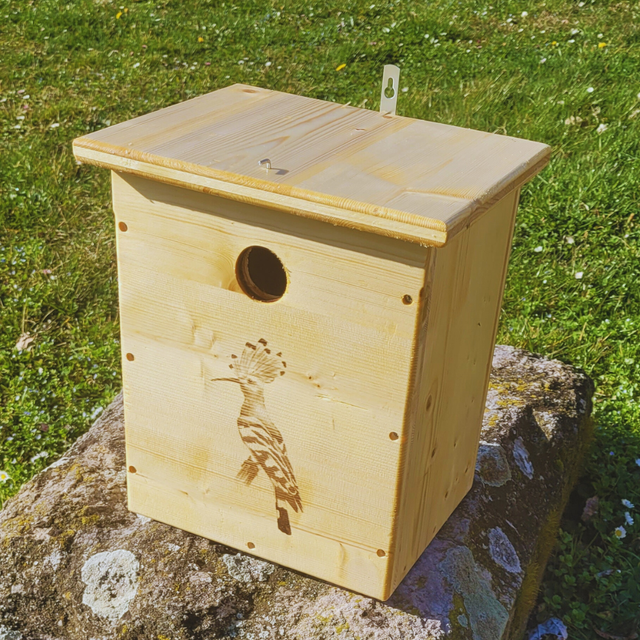 Nichoir à huppe fasciée 🐦