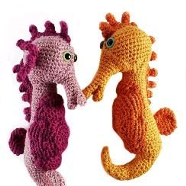 Cabaliño de mar. Itsas zaldia.