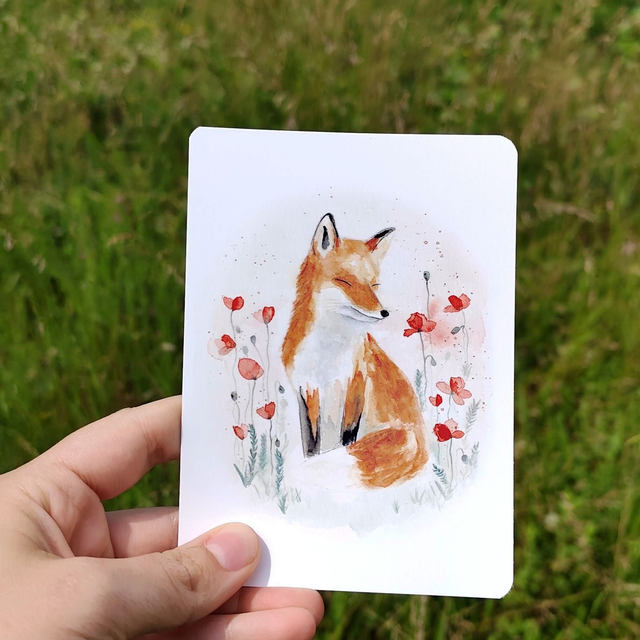  Champ de Tulipes - carte postale 