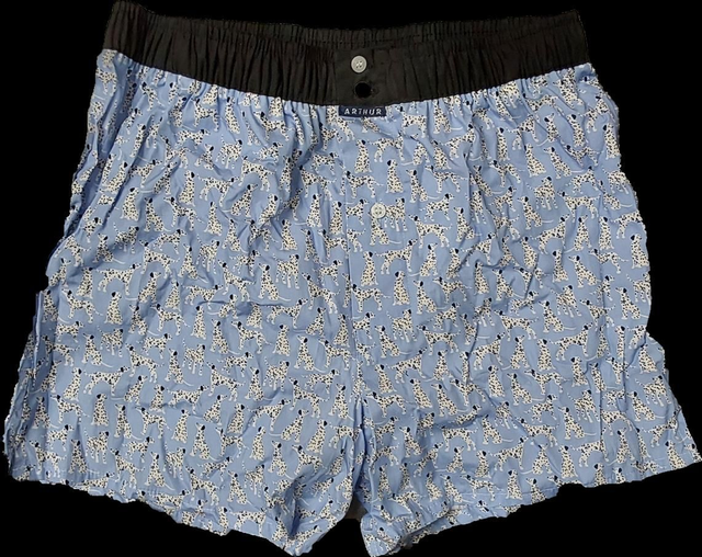 Caleçon slip ARTHUR 