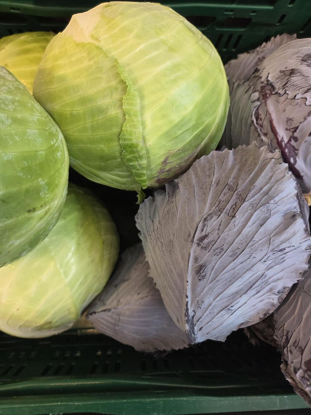 Rodekool of wittekool