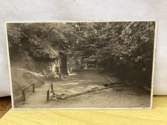 Shanklin, Chine Hollow, Isle of Wight, The Photochrom Co. Ltd Vintage Postcard. Our Ref No. R606 £2.50