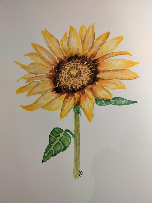 Aquarelle tournesol 
