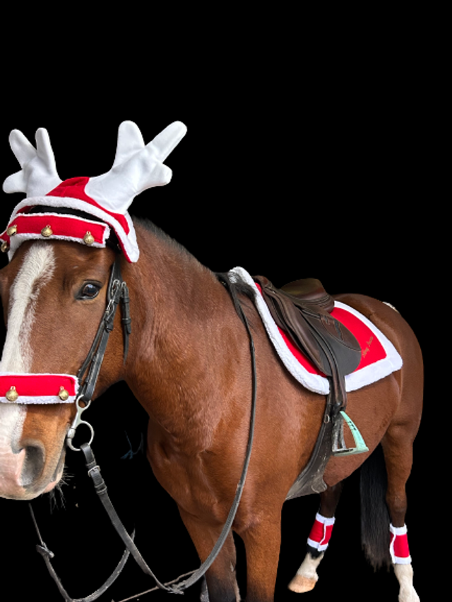 TAPIS DE SELLE EQUITHÈME "NOËL"