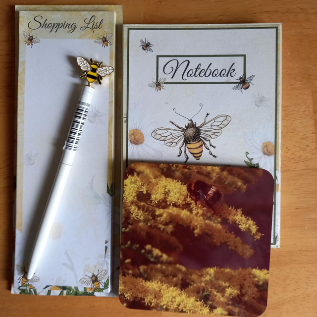 Bee Organiser and coaster 