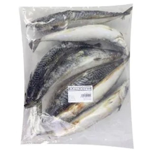Frozen Mackerel Fish -300g-500g