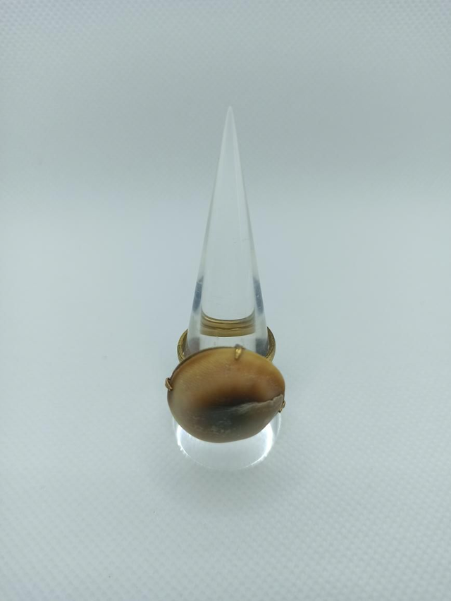 Œil de Sainte Lucie III