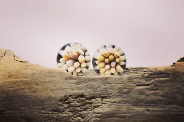 IMPLOSION BEIGE MONTURE ARGENT