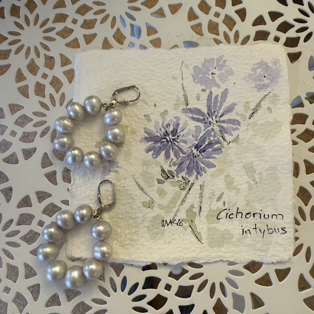 Ohrschmuck graue Perlen mit Silberverschluss Chicorium intybus