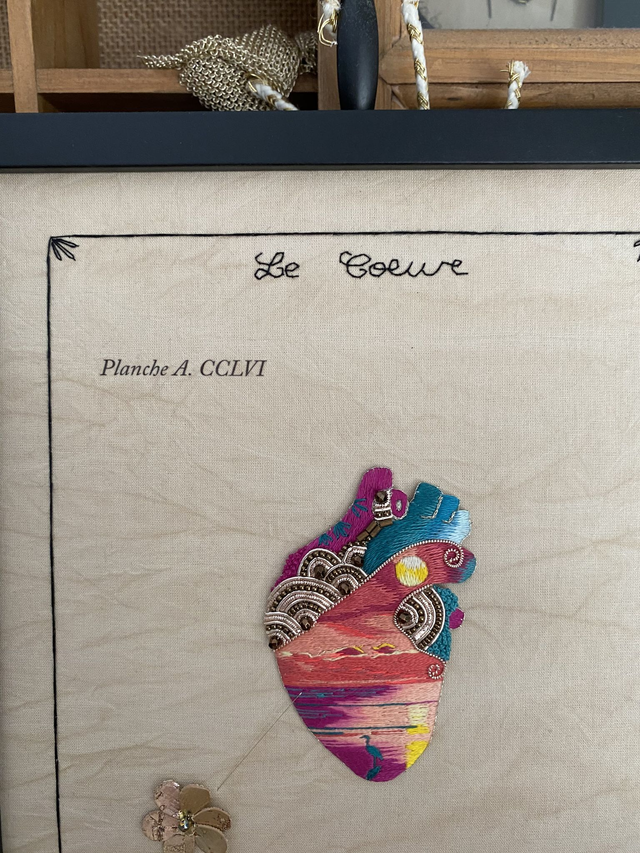 Planche anatomique cclvi le coeur couché de soleil