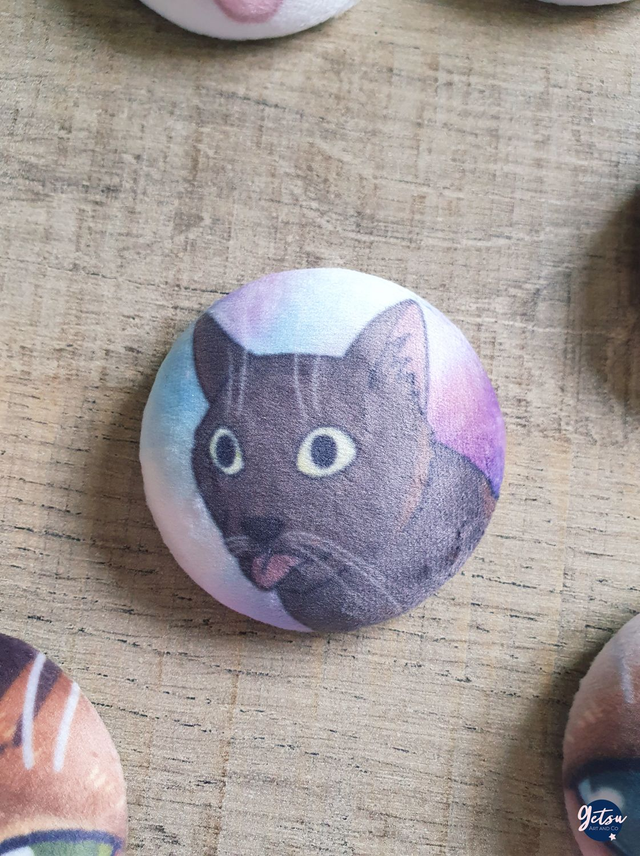 Badge squish - chat noir