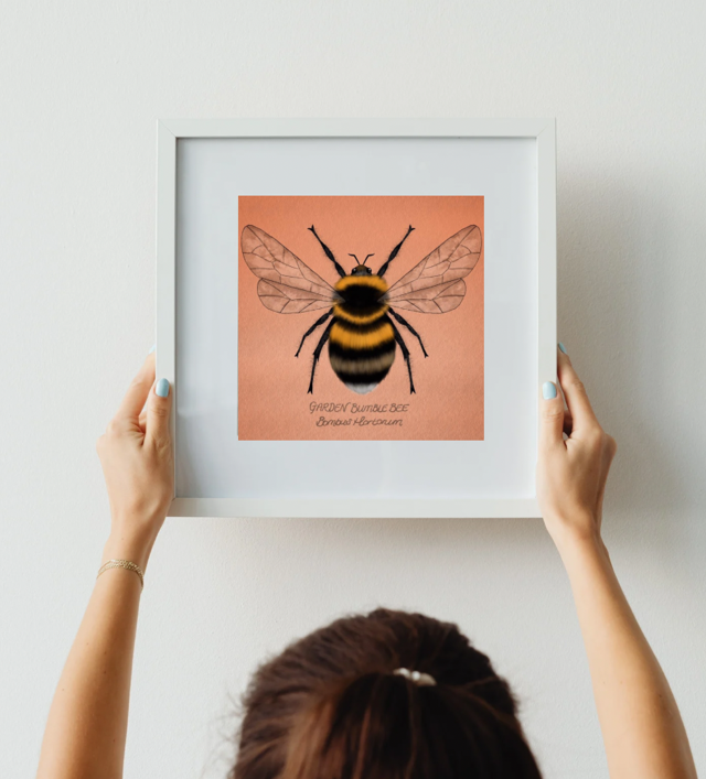 Rowan Corlett Illustrations - A5 Prints