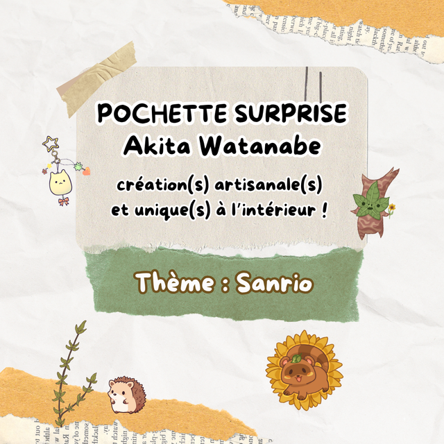 Pochette surprise Sanrio