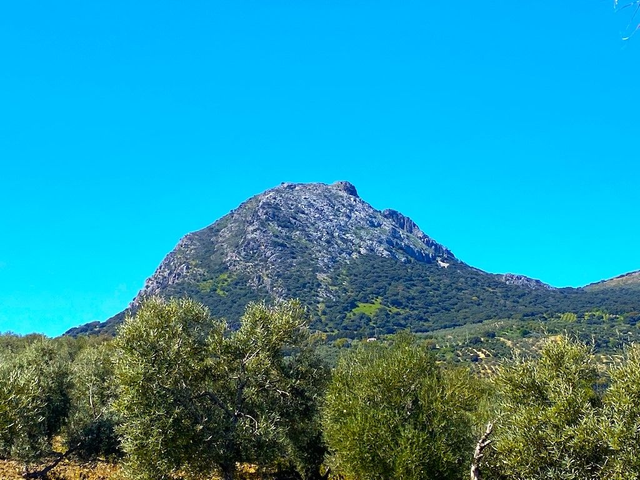 Pico el Terril y Peña Algamitas (8 Cumbres Andalucia)