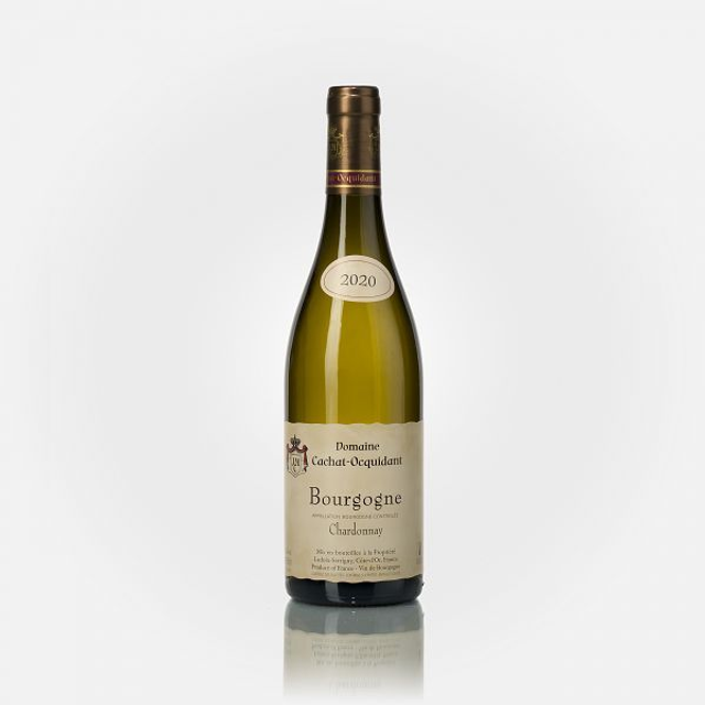 Bourgogne Chardonnay 2022 Blanc //Domaine Cachat-Ocquidant