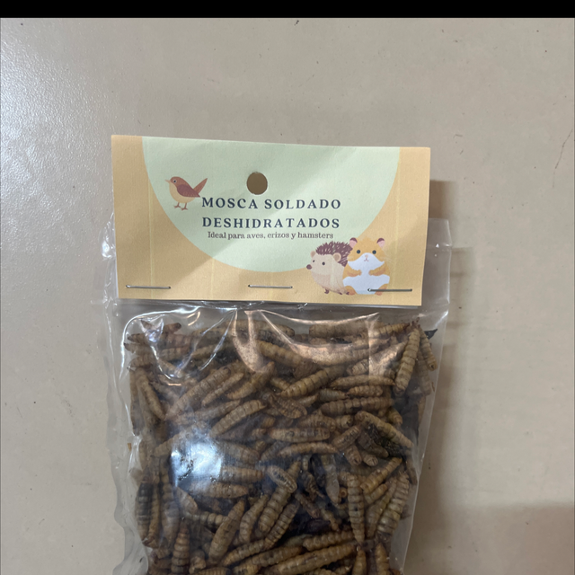 Mosca soldado deshidratados 