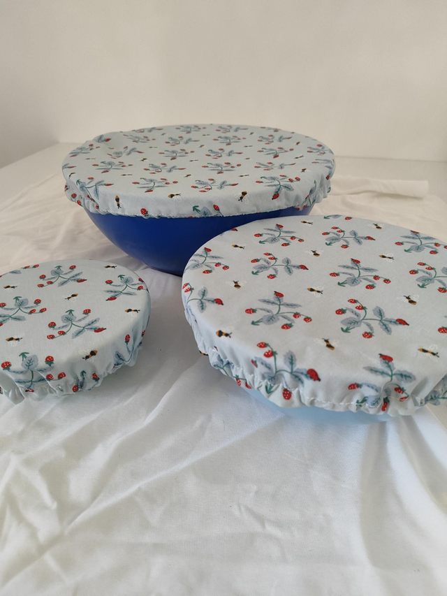 Charlotte alimentaire