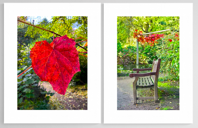 Meet me at Our Bench - Print