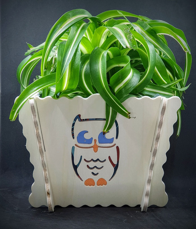 Cache-pot d&#039;intérieur motif chouette