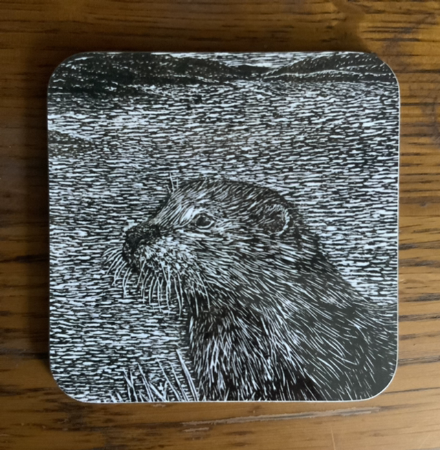 Glenbeg Otter coaster