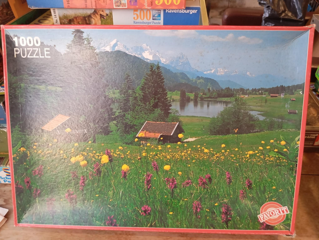 Puzzle favorit 1000 pièces fleurs de montagne 