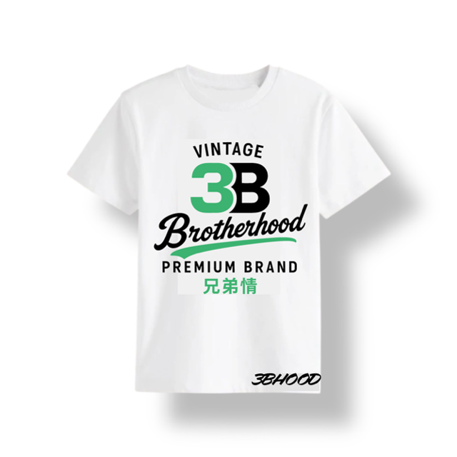 3B Vintage T Shirt (White Green) 