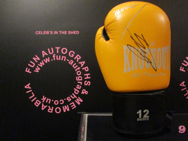 Frank Maloney, James McSweeney, Phil Gill Authentic Autographed 12 Ounce Boxing Glove (9)