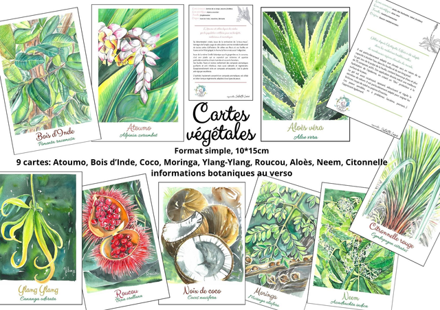 9 cartes végétales aquarelle 10*15cm