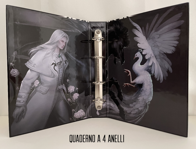 Quaderno ad anelli * TIPO 5