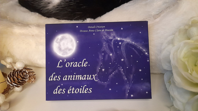 Oracle: Cartes + boitier. Livret à télécharger