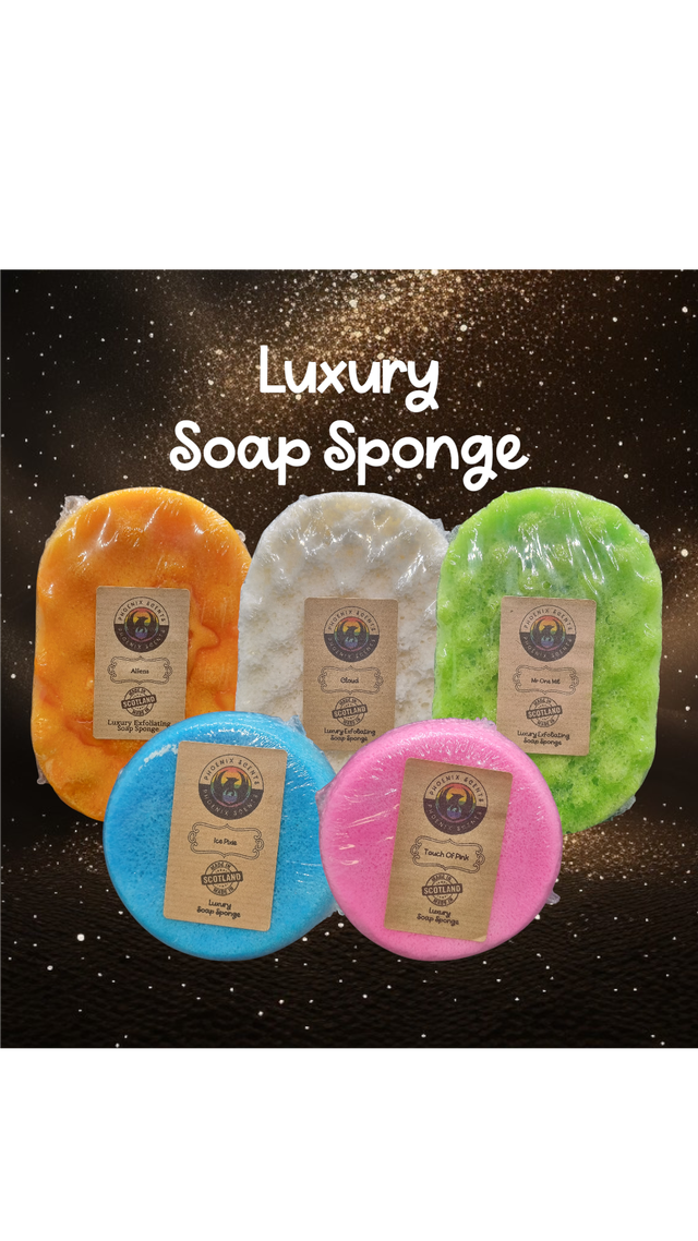 Soap Sponges 