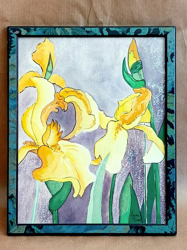Iris
