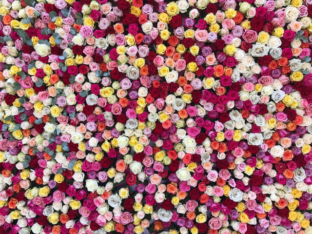 PHOTOCALL ROSAS NATURAL 3x3M