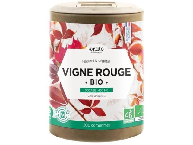 VIGNE ROUGE BIO 20CP