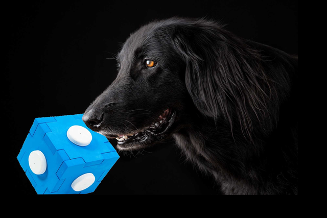 Geruchsdifferenzierung 