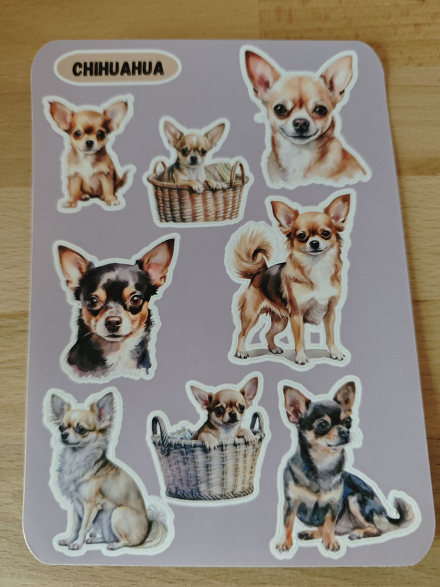 Planche stickers Chihuahua